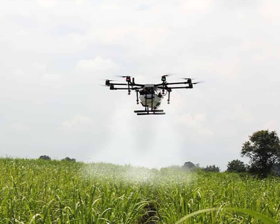 Drone Technology in Farming